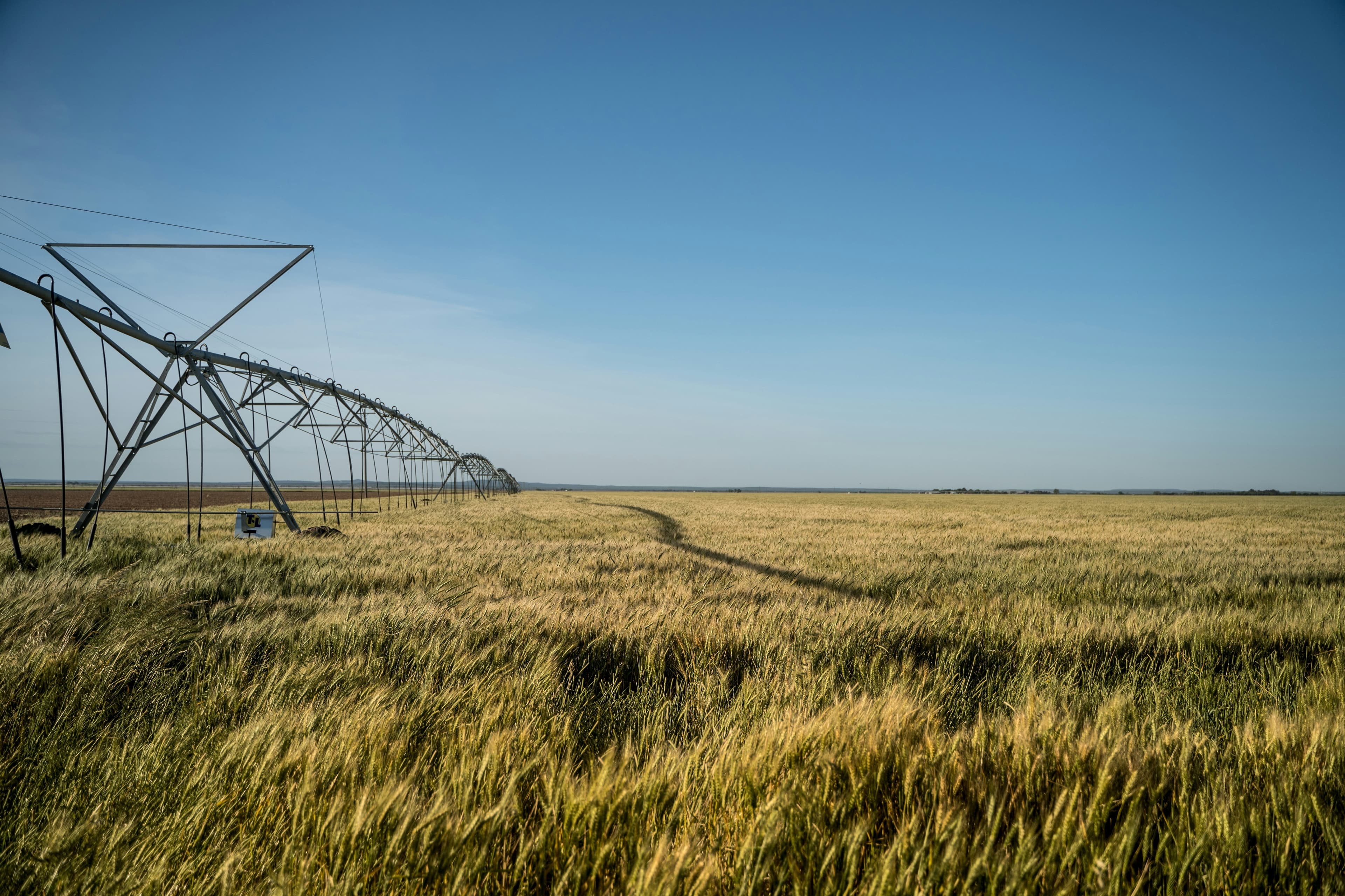 Smart irrigation system